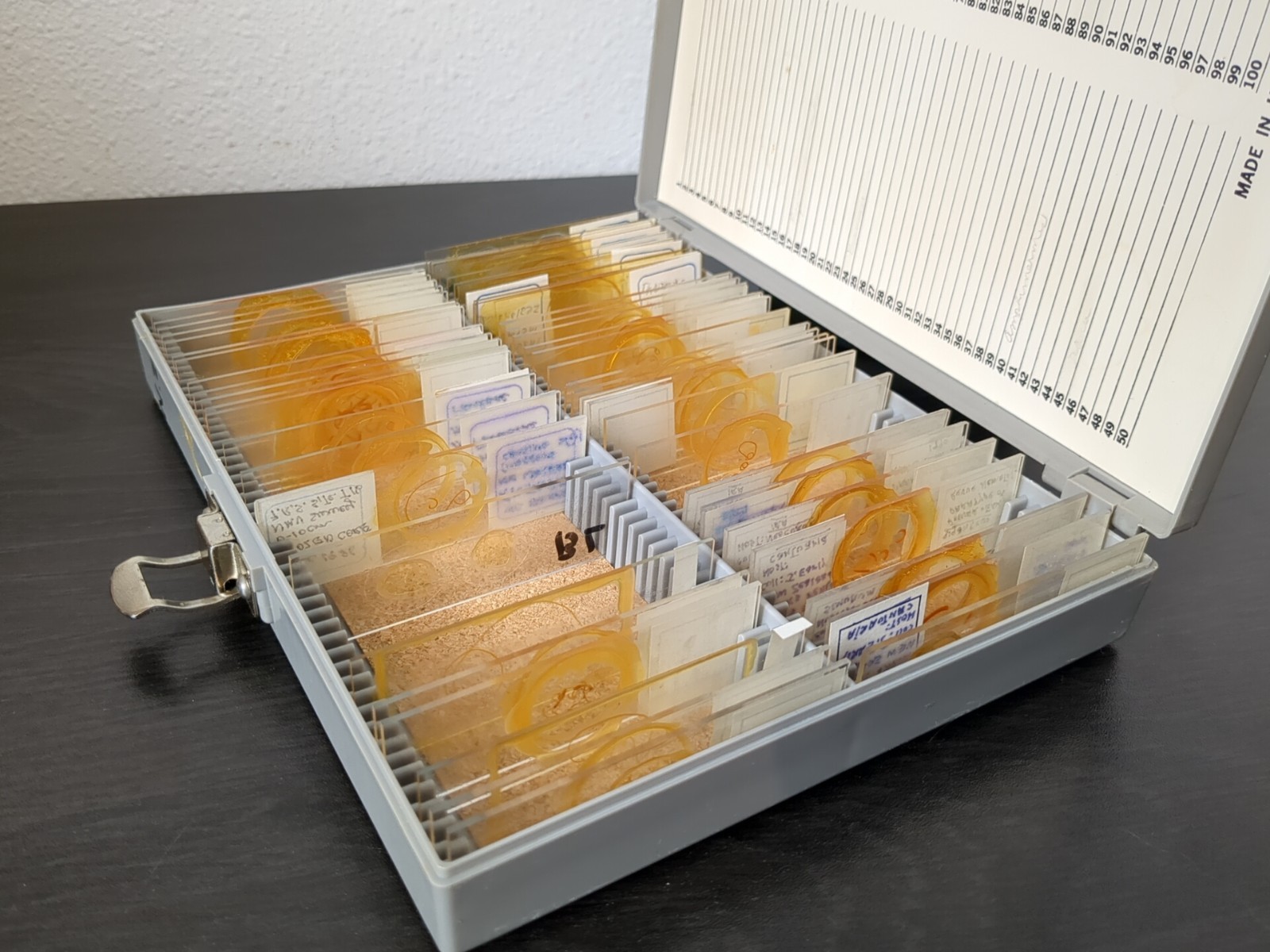 Vintage Prepared Microscope Glass Slides - George Poinar Jurassic Park Estate