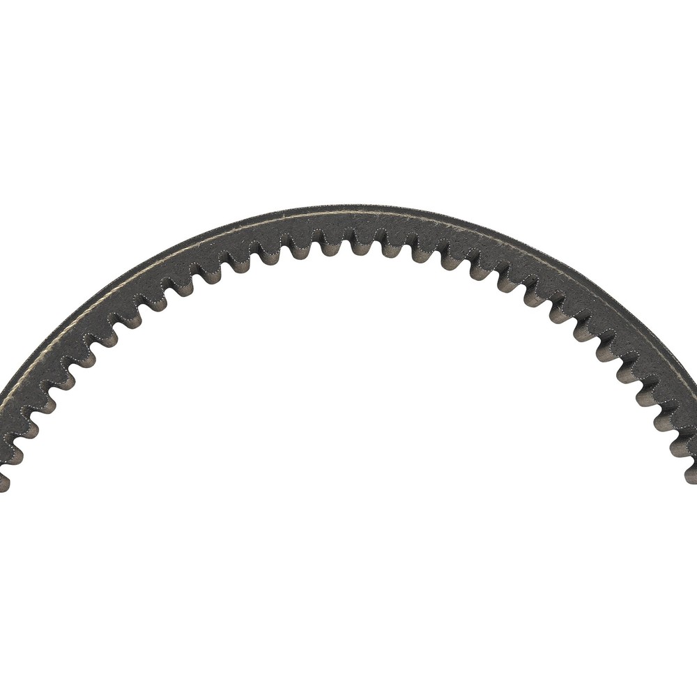 EPI Performance Standard Belt