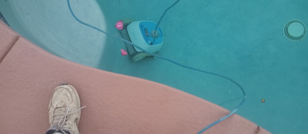 Maytronics Dolphin Active 20 Robotic Pool Cleaner w/ Power Supply Read!