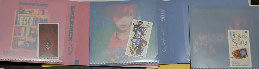 hide lottery E prize CD size clear file & sticker set