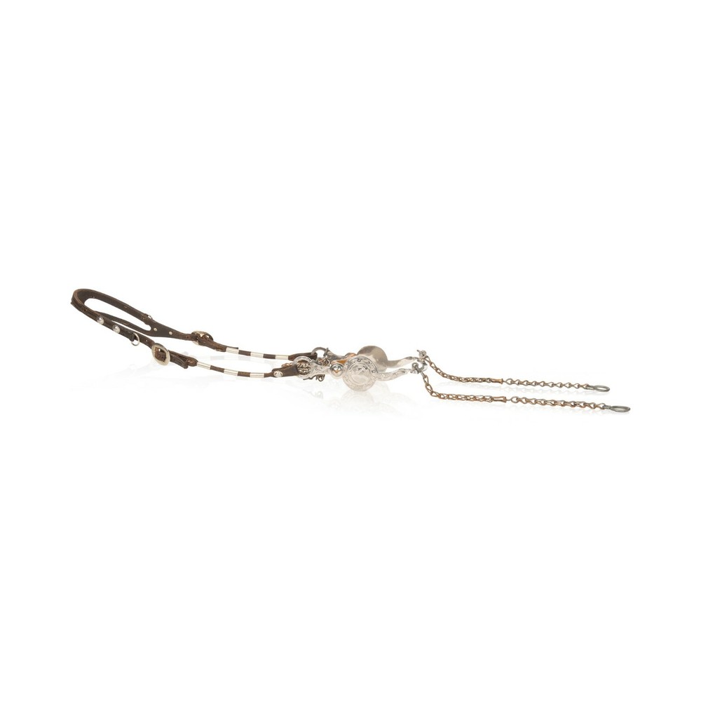 Pictorial Headstall
