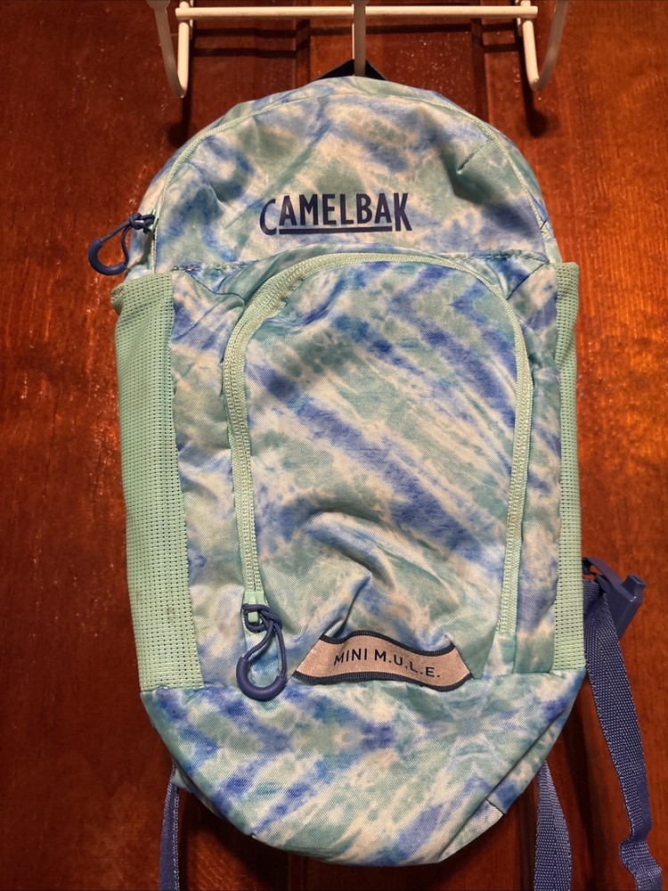 camelbak mini m.u.l.e. kids hydration backpack