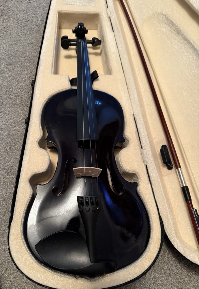 Full Size 4/4 Violin Set for Beginners Students with Hard Case Black