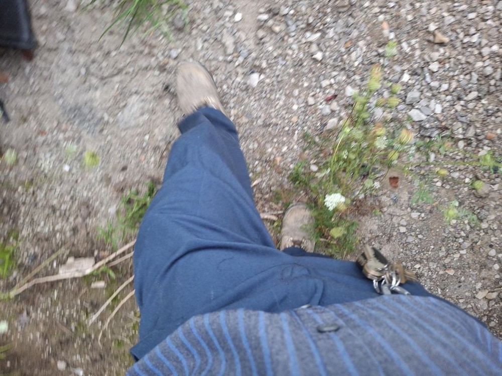 2019 Ford F150 8.0 Dash Screen - Used, No Anti-Theft Code, Reprogram Required