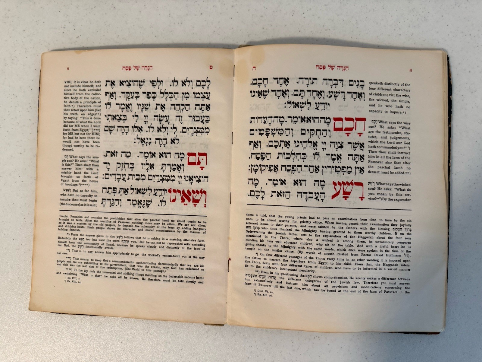 Chasam Sofer HAGGADAH PASSOVER Vienna WIEN 1928 JEWISH ART English RARE חתם סופר