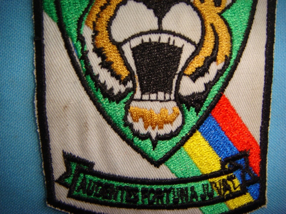 VIETNAM WAR PATCH, USAF 366th TACTICAL FIGHTER WING