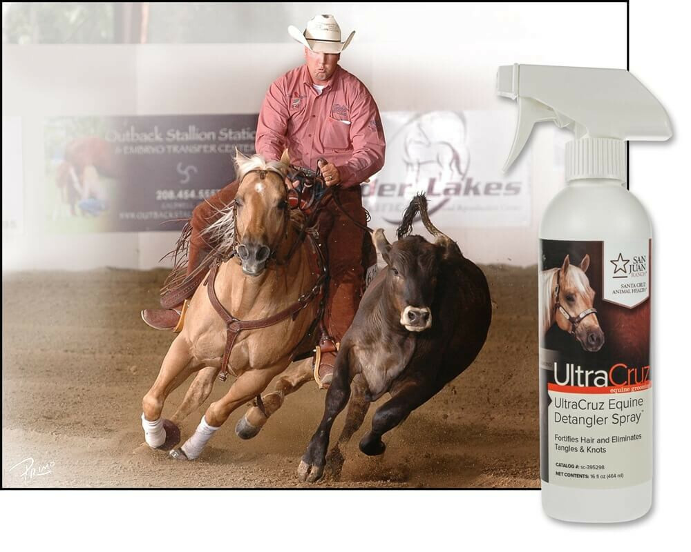 UltraCruz Equine Detangler Spray for Horses, 16 oz