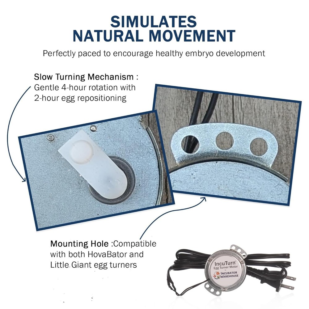 Replacement Egg Turner Motor - High Performance for Little Giant or HovaBator...