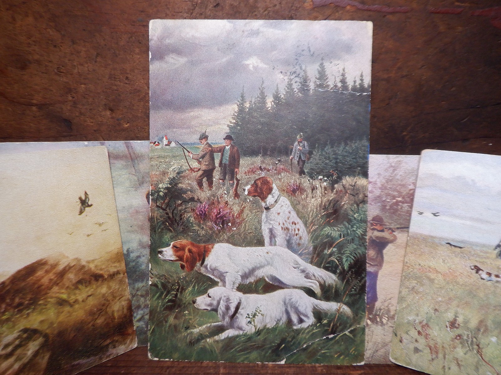 5 Antique HUNTING DOGS w/Hunter Postcards - English/Irish Setter Gun Bird Dogs