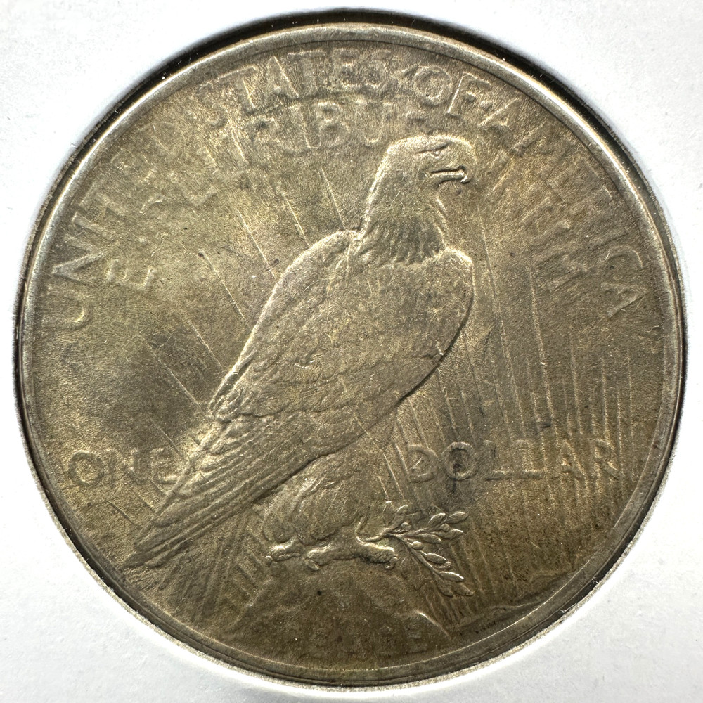 1924 $1 Silver Peace Dollar (89107)