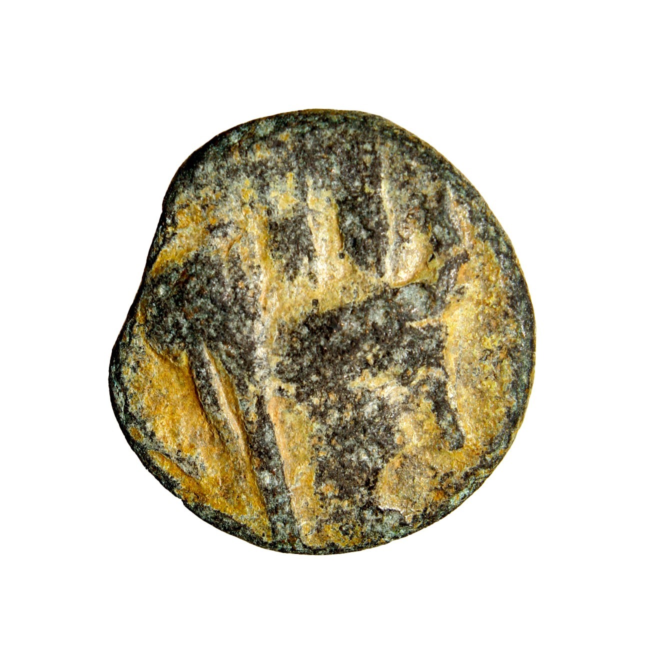 Judaea, Ascalon. Pseudo-autonomous, time of Vespasian (AD 69-79). AE. 3.77 g.