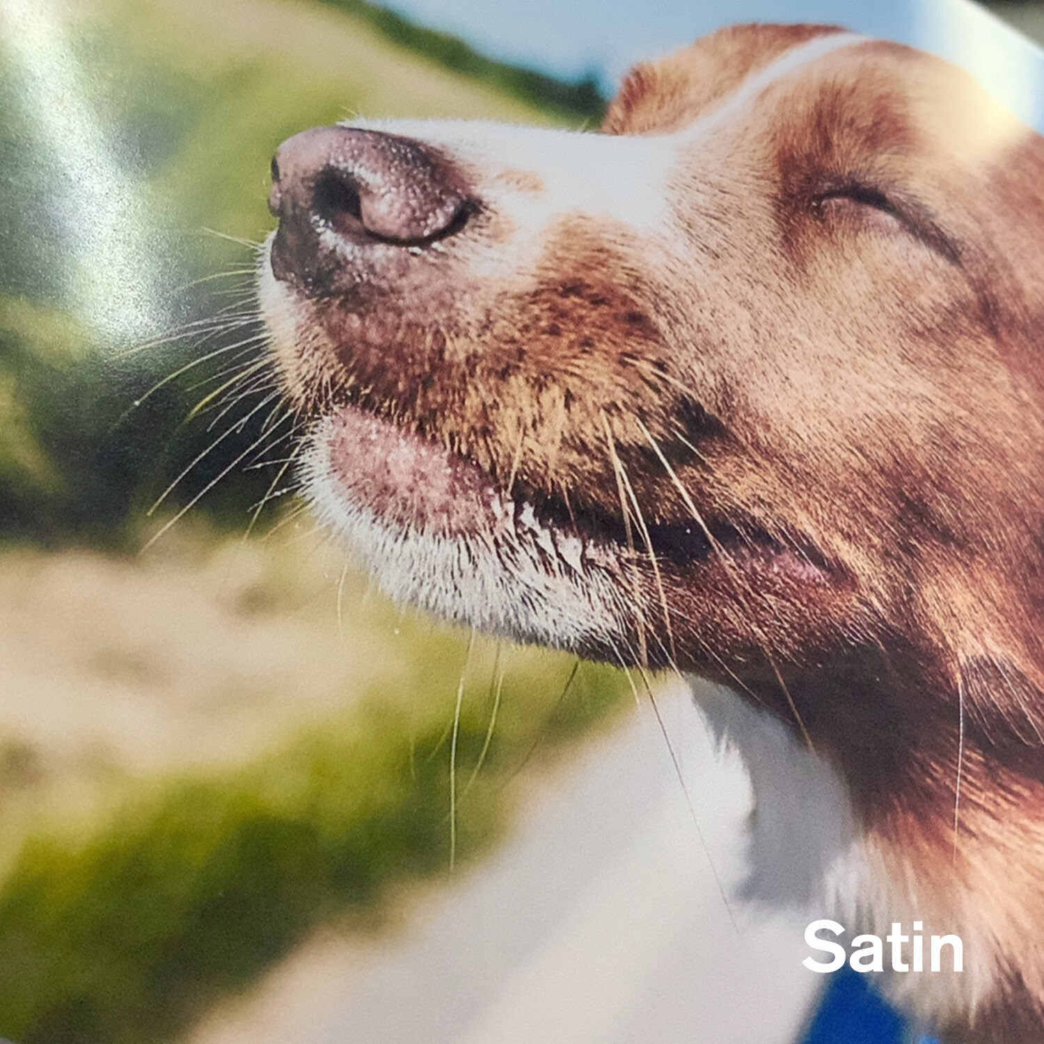 Assorted Size Pack - Koala Ultra Premium Satin Photo Paper 72lb Inkjet Printer