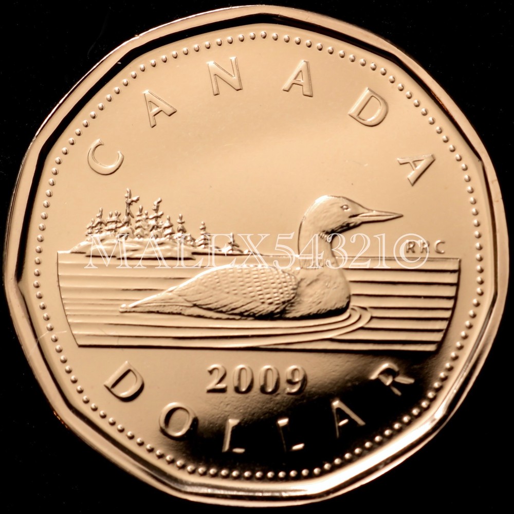 🇨🇦​ 2009 CANADA DOLLAR  UNCIRCULATED FROM MINT SET