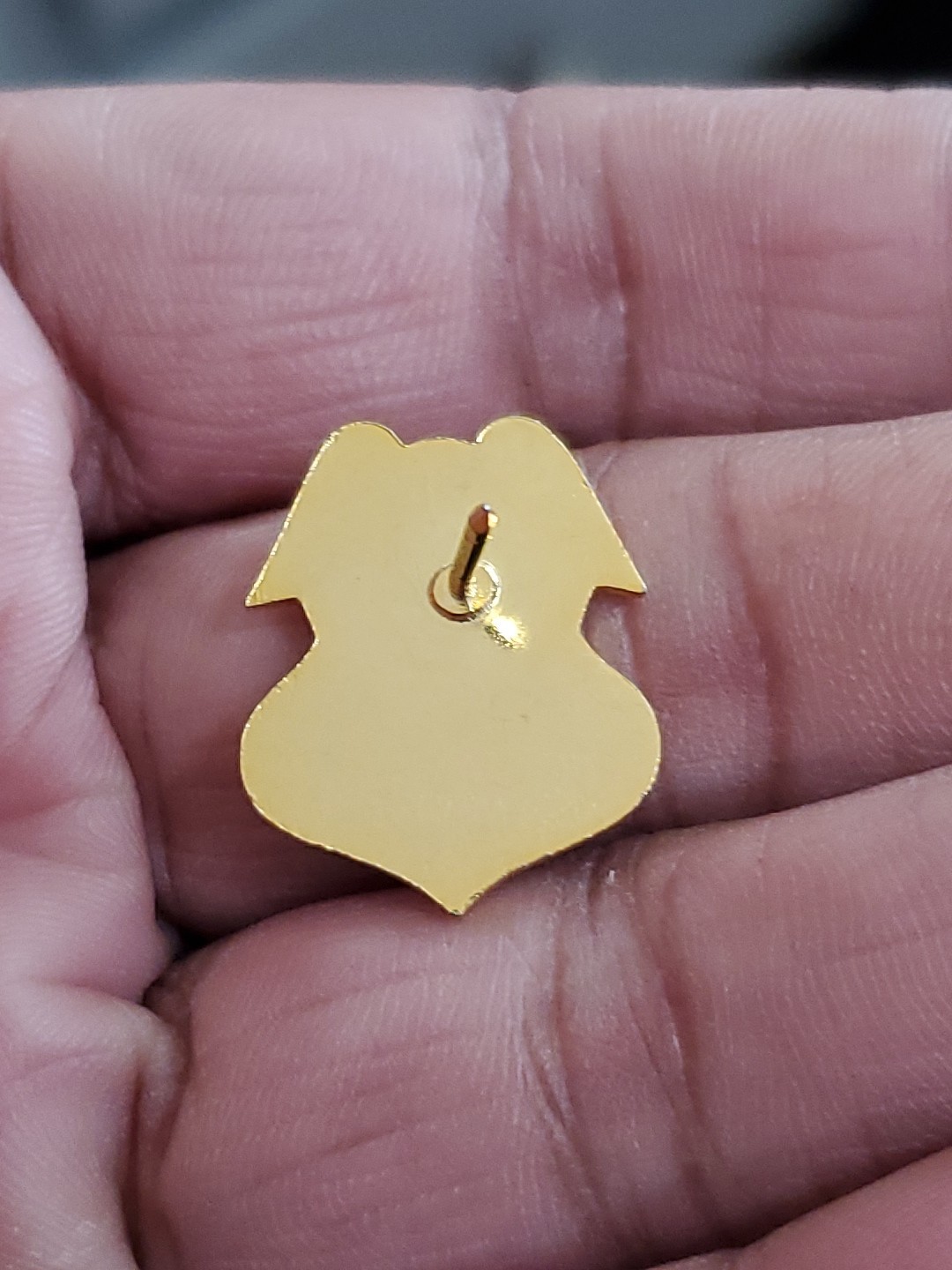 NRA Law Enforcement Pin