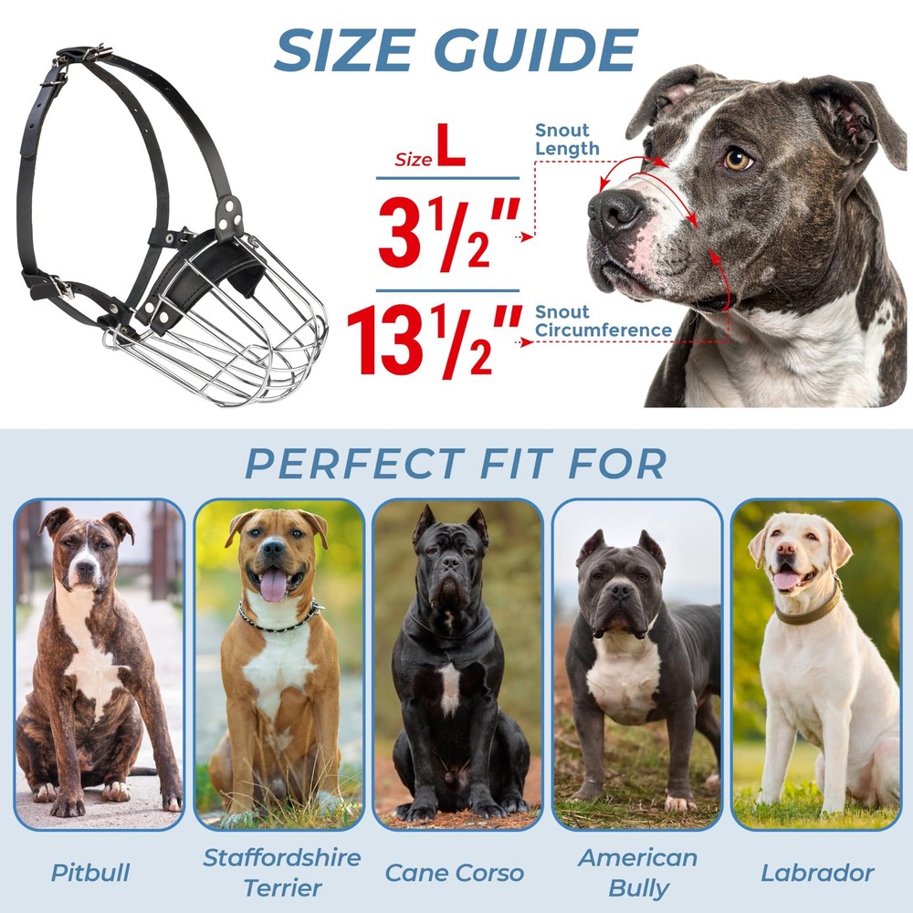 CleverTail Metal Pitbull Muzzle for Large Large, Silver Wire & Black Straps
