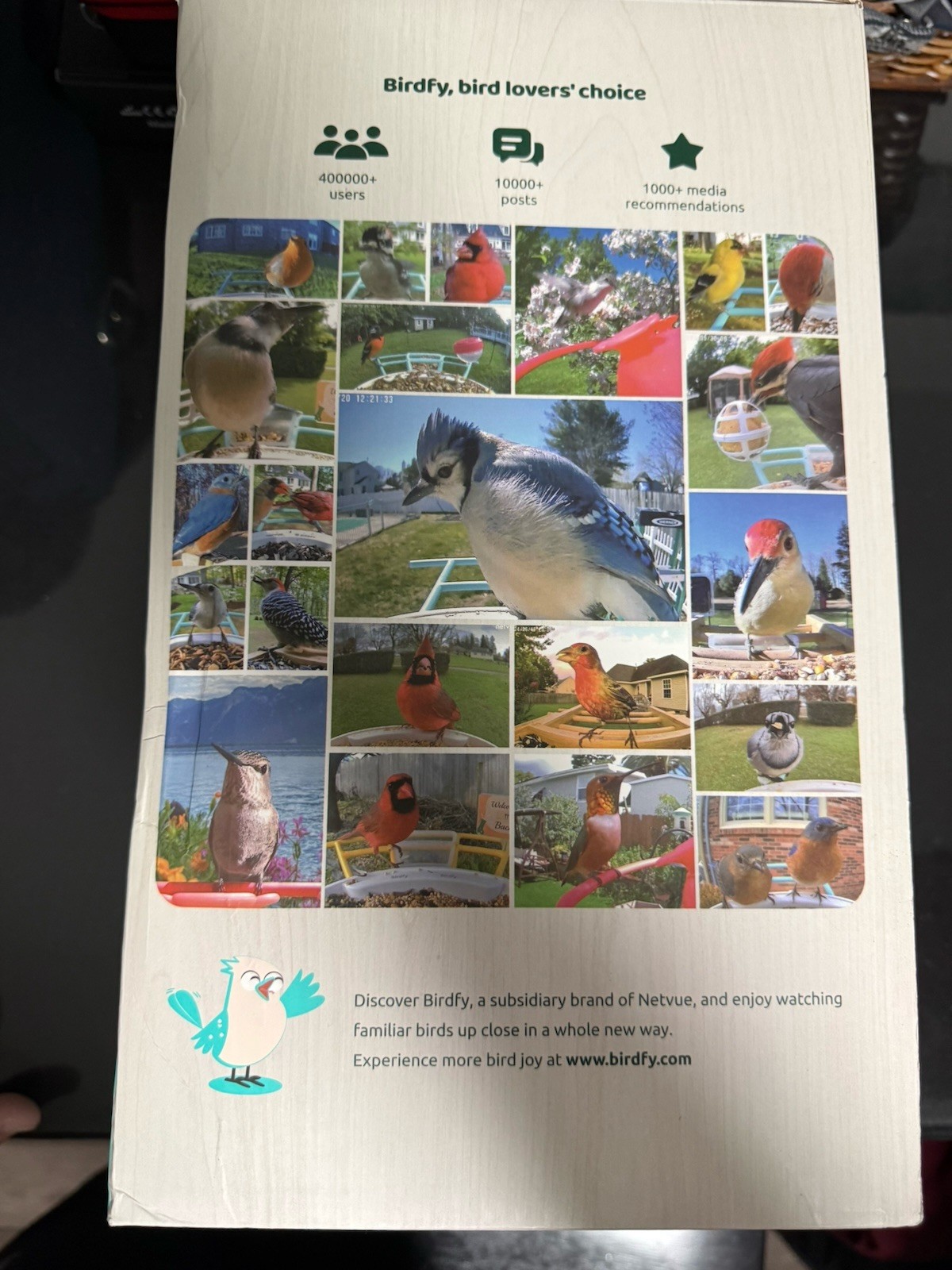 Birdfy Nest Ebony Bird House for outside Solar Powered, 1080P HD Live View