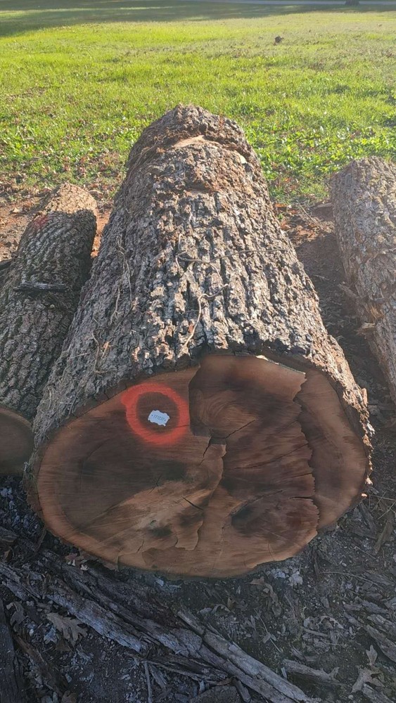 PLASTIC LOG TAGS -FORESTRY SUPPLY-Cold Weather Resistant 2 boxes per order