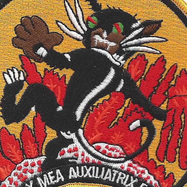 VF(AW)-4 Fighter All Weather Squadron Patch