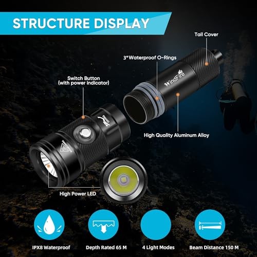 Dive Light Scuba Diving Flashlight, IPX8 Waterproof Flashlight, 4 Black-DF180
