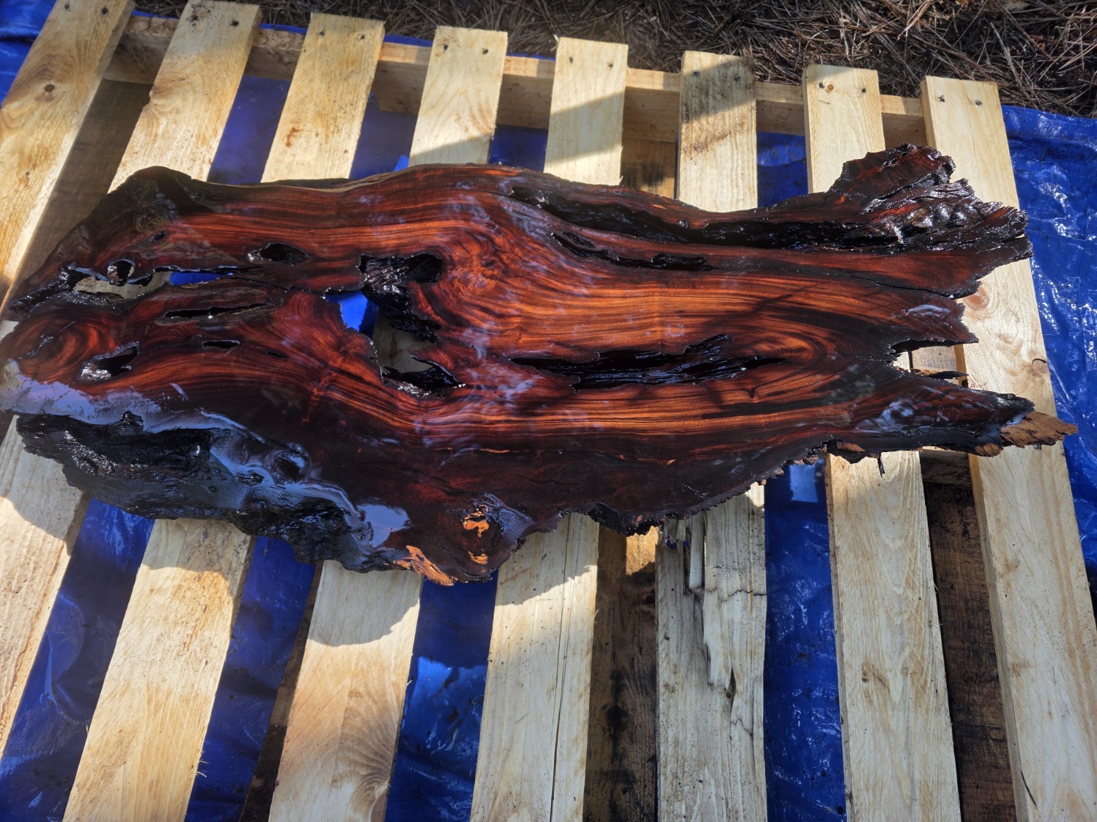 Desert Ironwood Live Edge Slab Epoxy Resin River Table Woodworking Art Mill Log