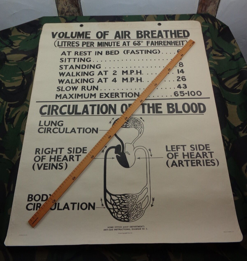 LARGE WW2 AIR RAID PRECAUTIONS (ARP) TRAINING WALL CHART (No. 5) 97cm x 76cm