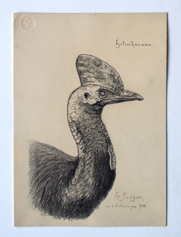 Fritz Berger Drawing Helmkasuar Coal Flinzer Impressionism Signed 1906