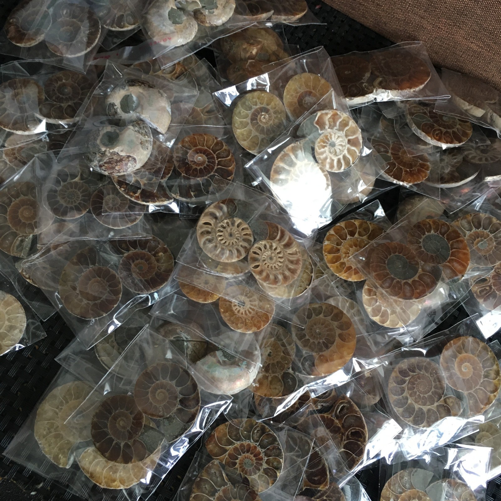 50 pair of Split Ammonite Specimen Shell Healing Madagascar 02