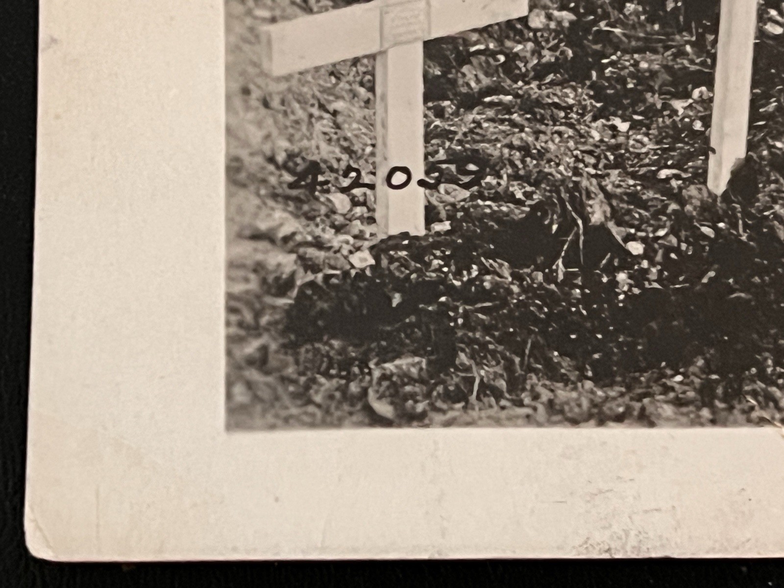 World War I Original Official US Photo Graves Of 324th Infantry Regiment 1918
