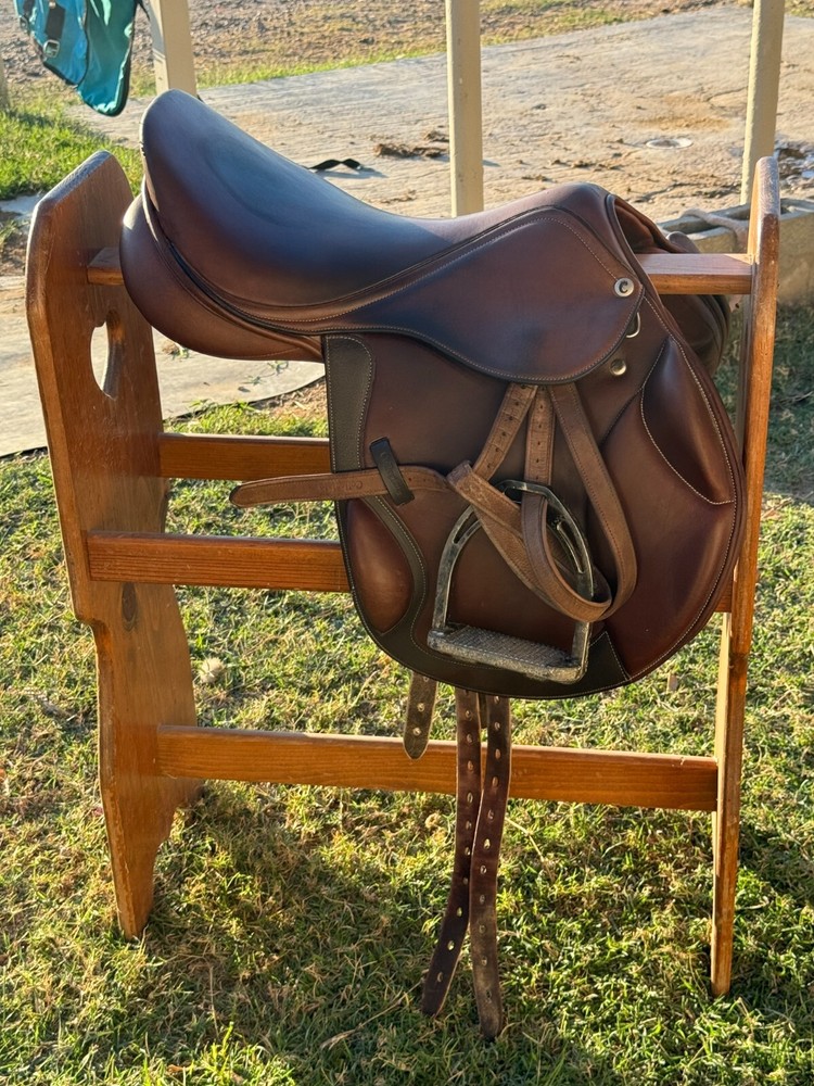 Collegiate Degree Mono Event Saddle
