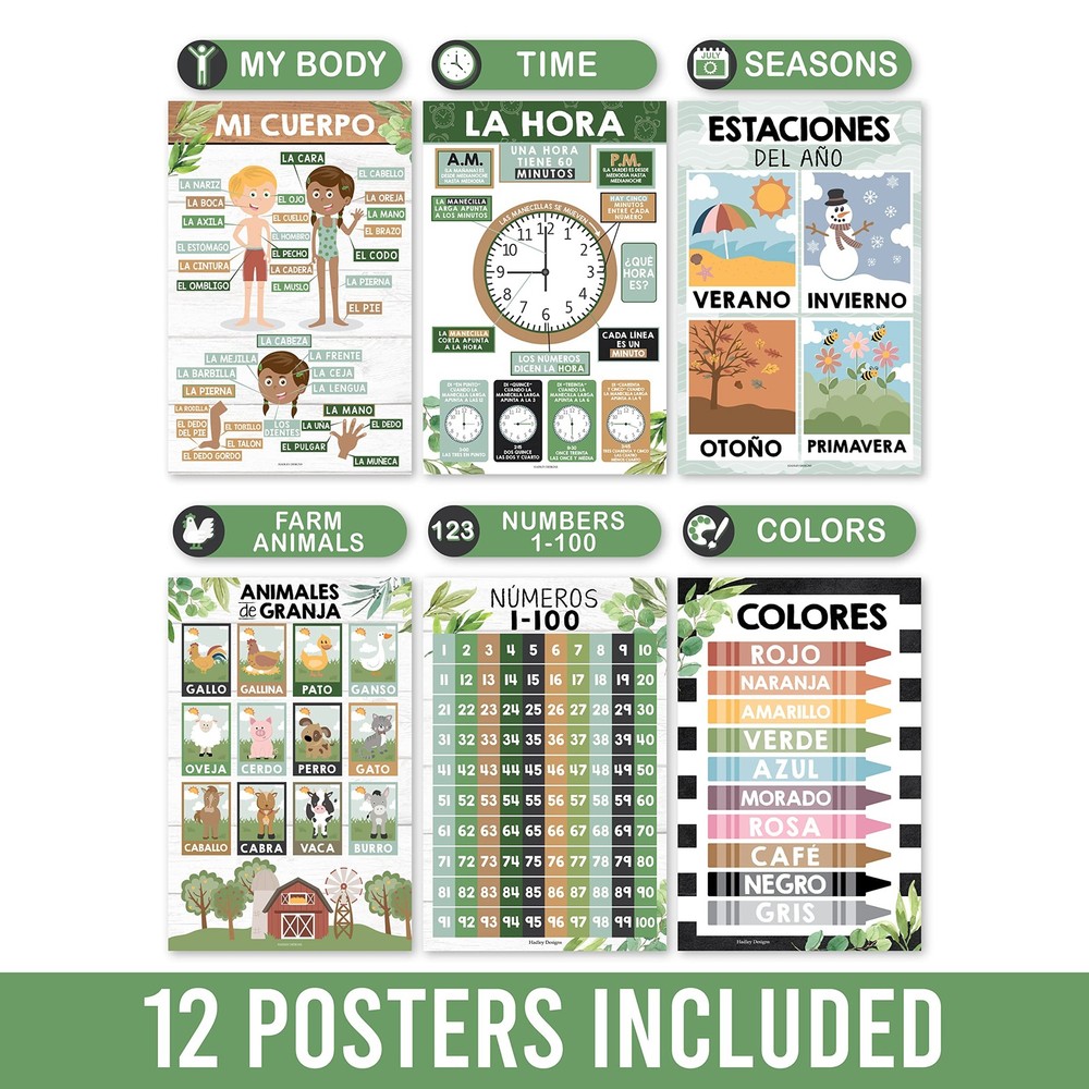 Hadley Designs 12 Spanish Classroom Posters - Laminated 11x17" Educational Chart