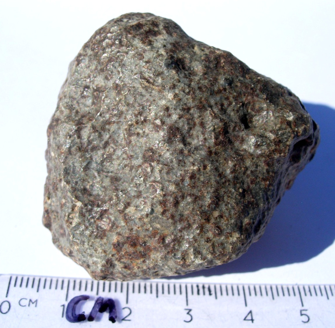 98 grams NWA 869 Meteorite ( class L3-6 ) as found individual with a COA