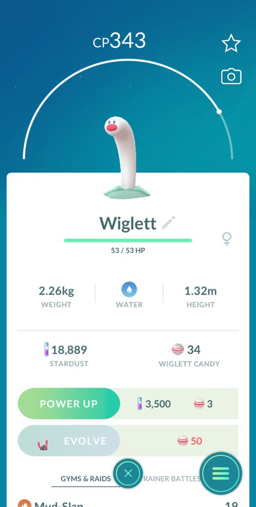 Pokémon Wiglett Go TD