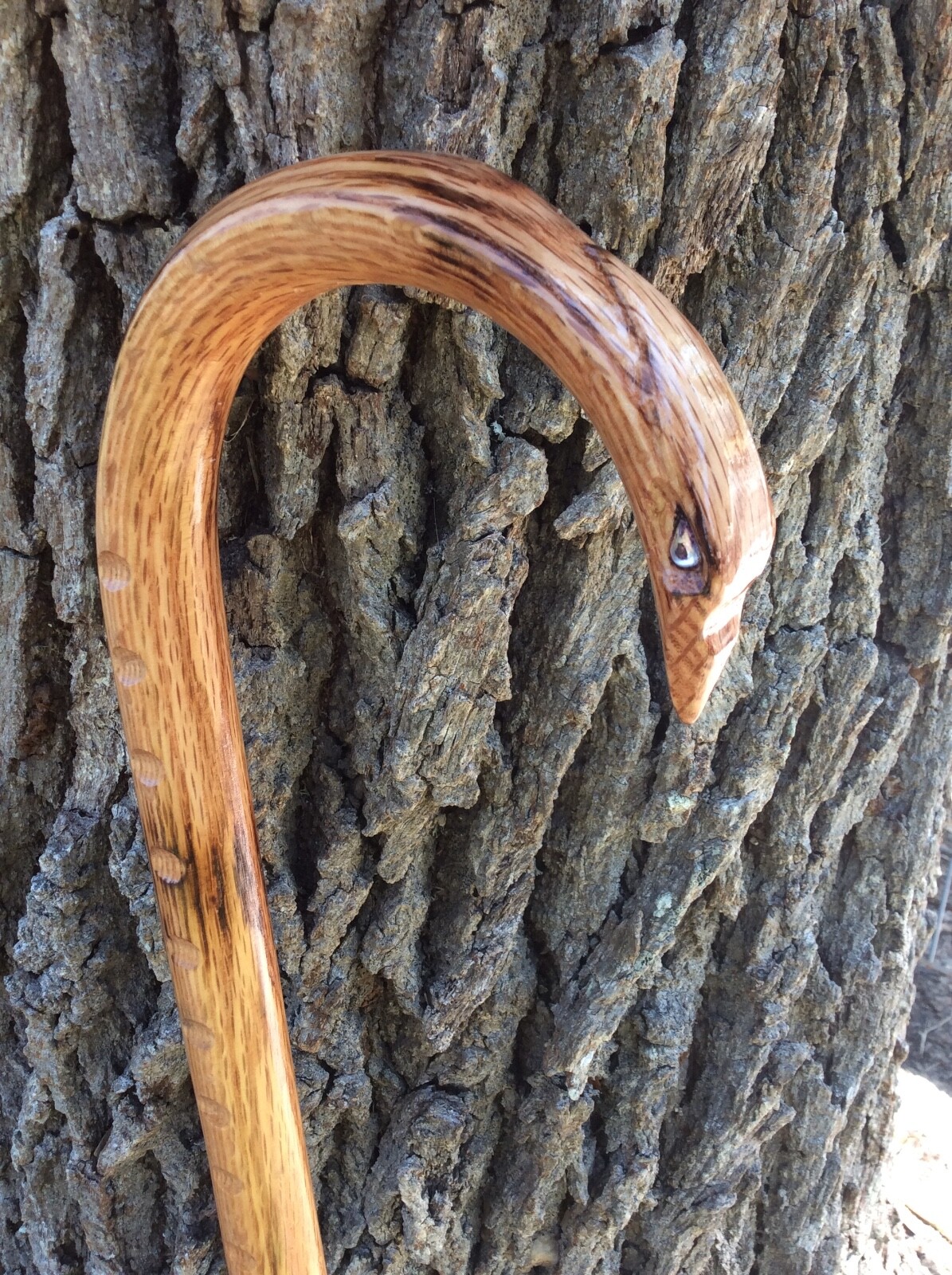 NIGHTHAWK GRAND MASTER HAWK HEAD CANE- MADE IN U.S.A. CUSTOM OAK CANE