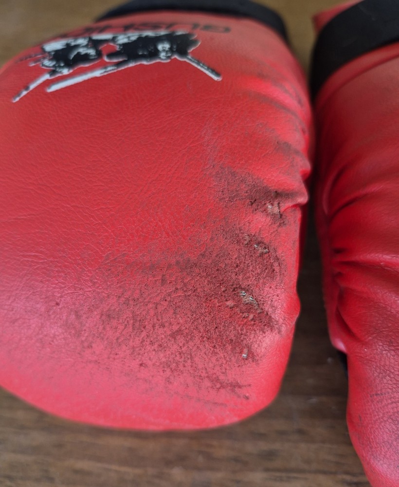 Bushido Gloves Sizes XS