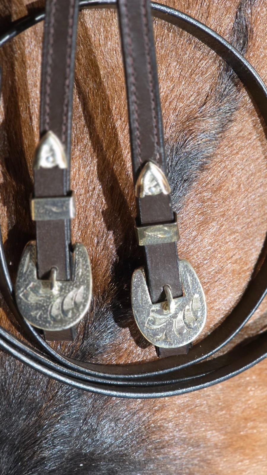 7 Ft Dark Oil Leather Split Reins Western Silver Buckles Conchos - Light Weight