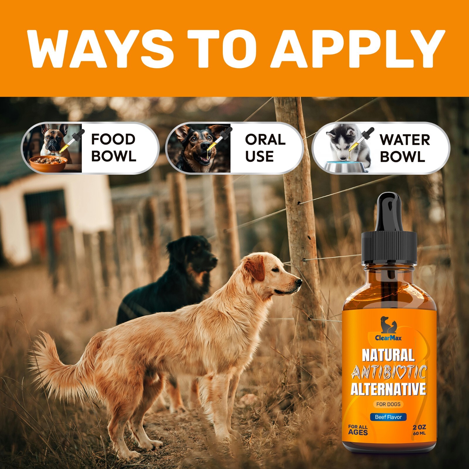 Natural Antibiotics for Dogs | Allergy & Infection Relief | Beef Flavor | 2 Oz