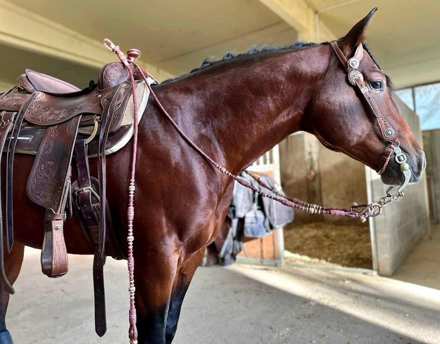 20 Plaits Romal Reins, Rommel Reins Chestnut Cherry Rawhide, 48" Romal Reins