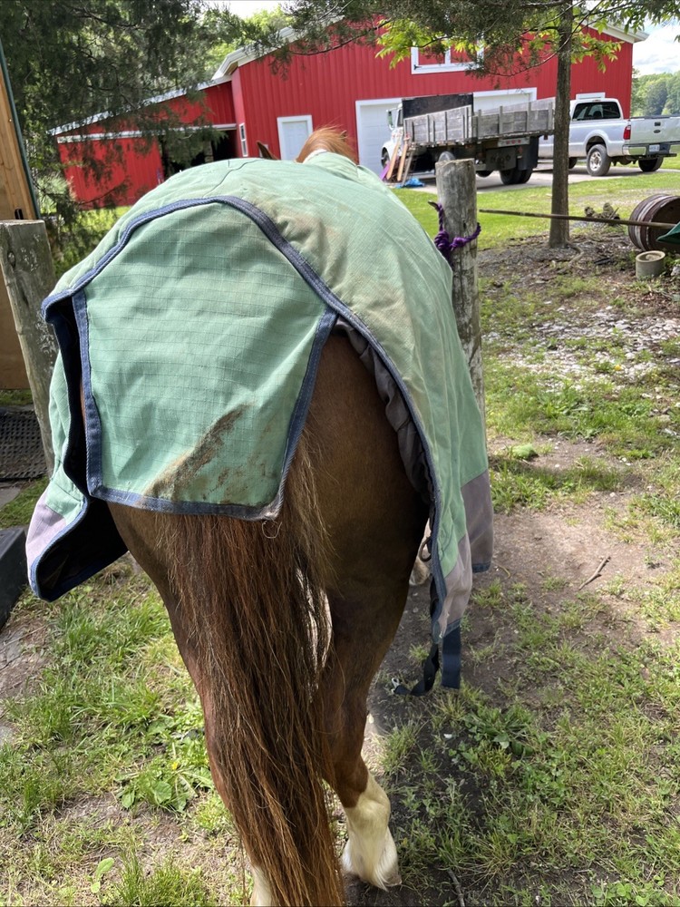 Schneiders Medium Weight 72” Blanket