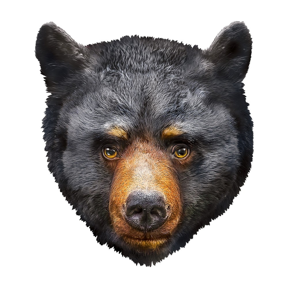 MasterPieces - Black Bear 100 Piece Shaped Jigsaw Puzzle