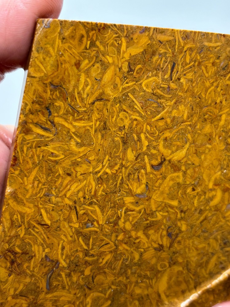 Script Stone Jasper Slab Cabbing Lapidary Collecting Combo Ship Avail