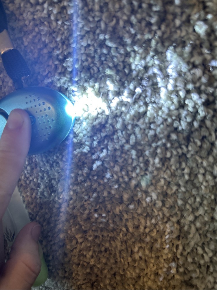a self-defense keychain set with various accessories.
