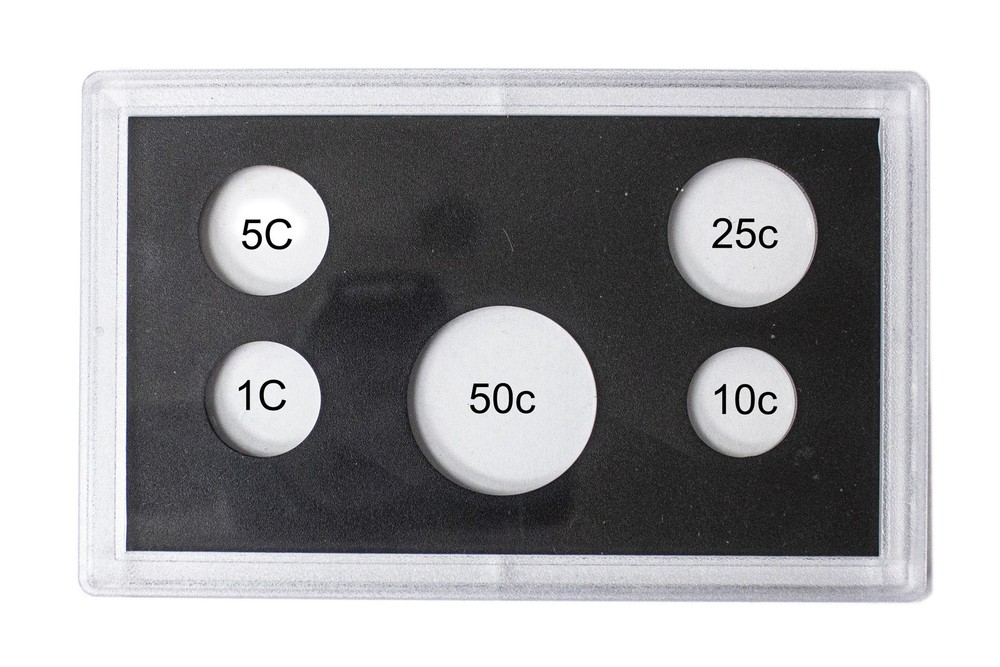 Empty Plastic Lens with Black Insert Holds 5 Coins, 10 Pack