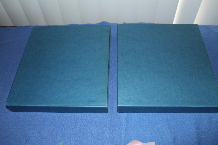 BUND Germany + Berlin DAVO Hingeless binder dustcase BlueLakeStamps Most Useful