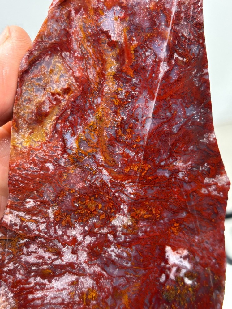 Mexican Red Moss Agate Slabs Lapidary Cabbing Combo Ship Avail