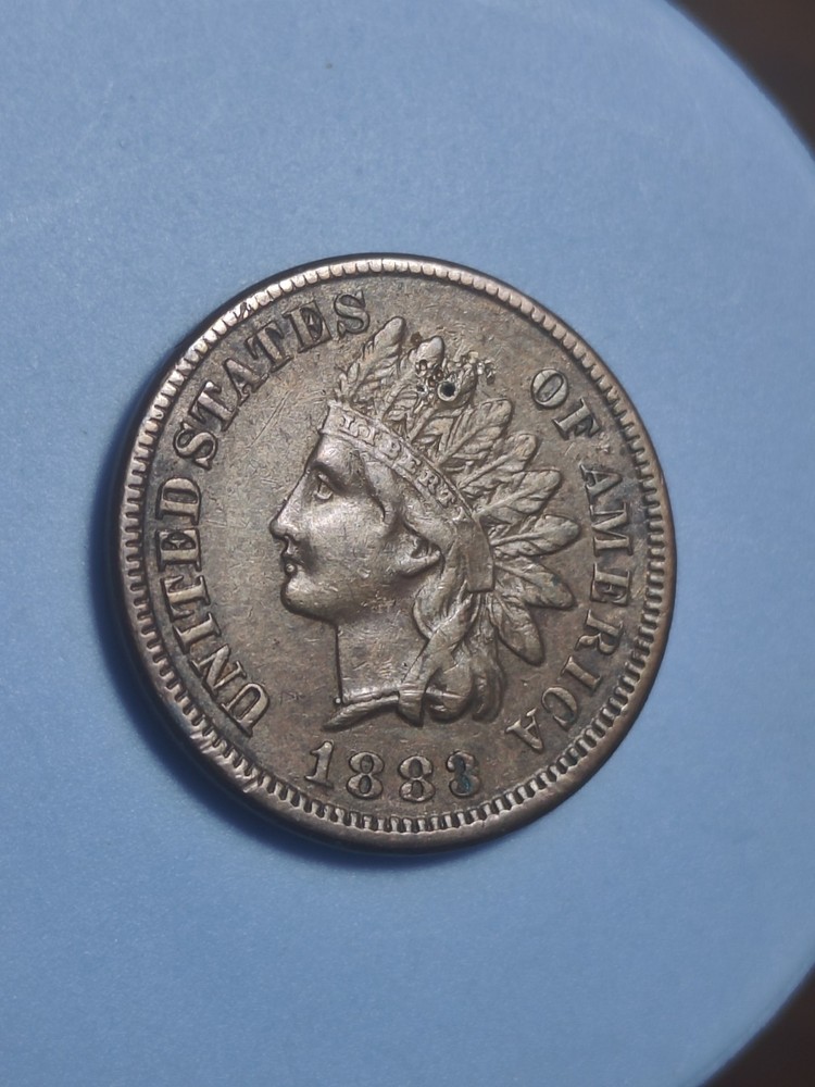 1883 Indian Head Cent Obverse Damage #1115