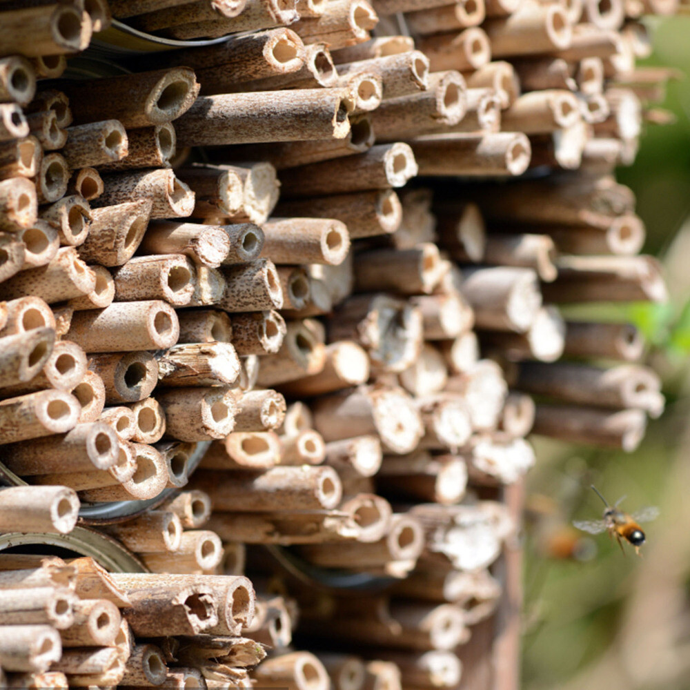 100pcs Bee Tubes Refill Tubes Nesting Replacements Beekeeper Supplies