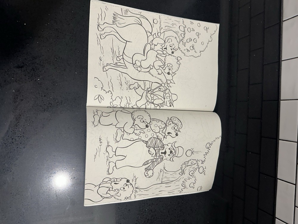 The Berenstain Bears Springtime Coloring Fun Coloring Book