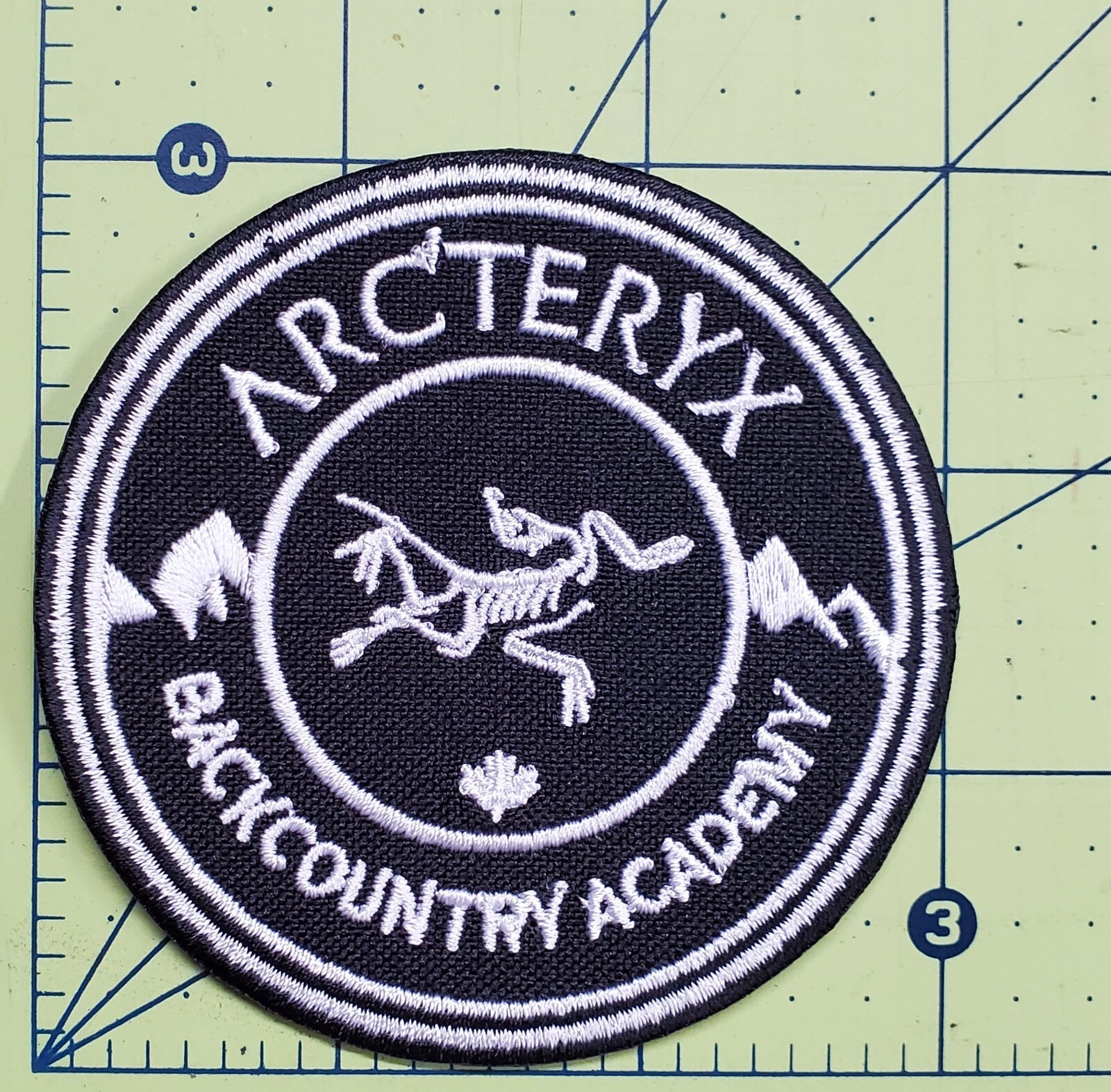 Archaeopteryx Embroidered Iron On Patch Ancient Wing Urvogel Dinosaur Arc'teryx