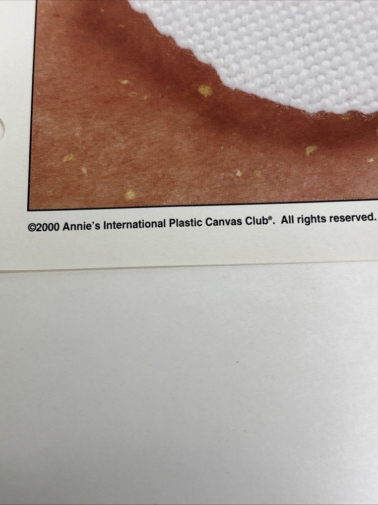 Easter Babies Chick Bunny Annie's Attic Plastic Canvas Pattern Page