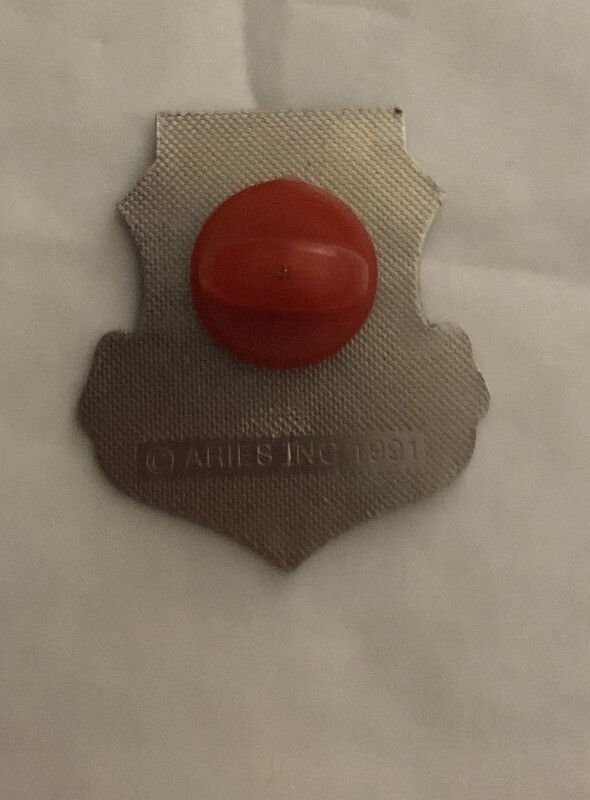 Victory Desert Storm Lapel Pin